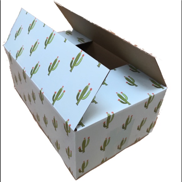 LAST SET ))) CLEARANCE 9 (10X6X4) Cactus Boxes - Picture 2 of 8